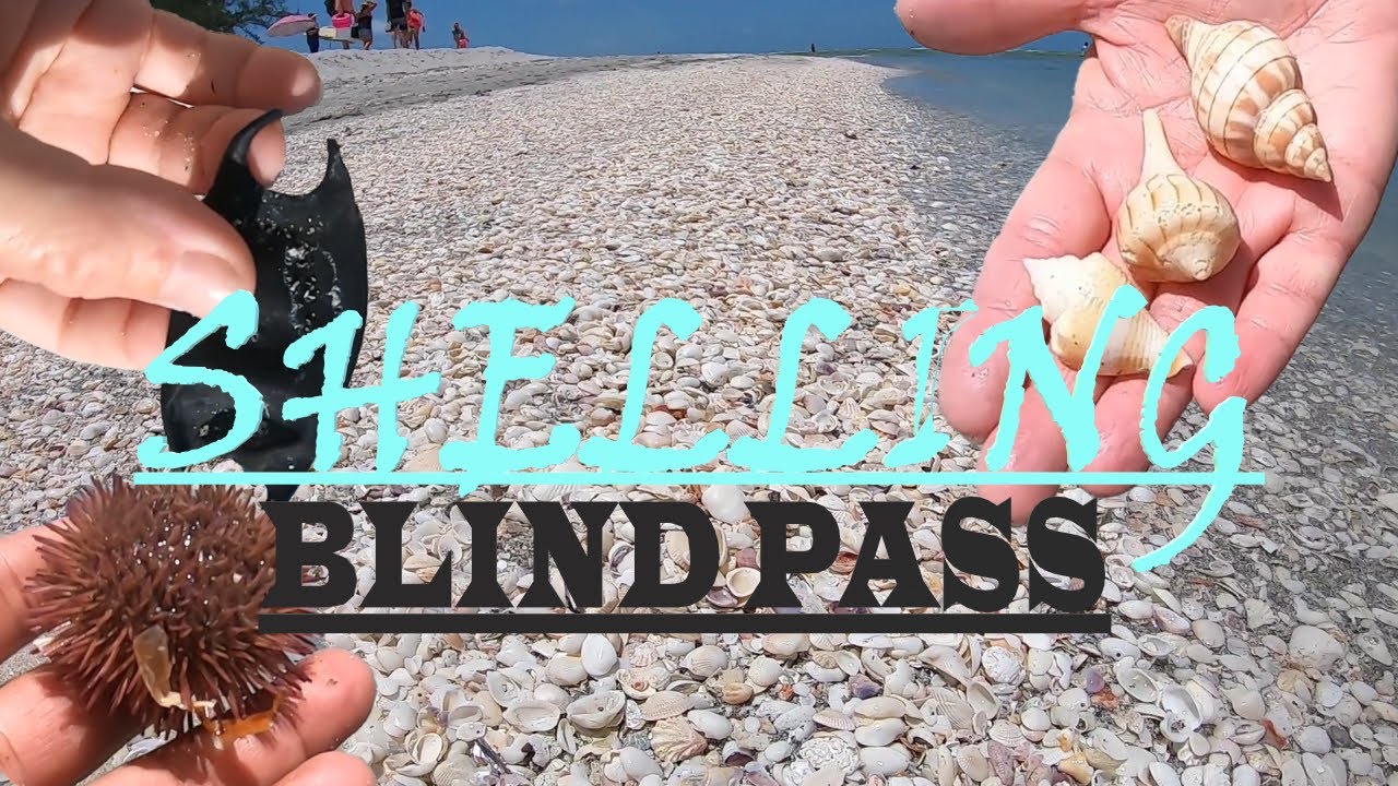 Beachwalk on BLIND PASS BEACH SANIBEL FL. Beachcombing washed up SEA TREASURES & more