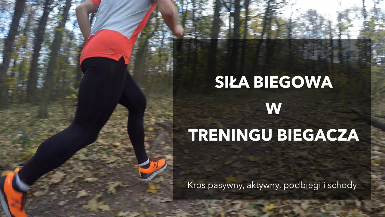 Siła biegowa w treningu biegacza