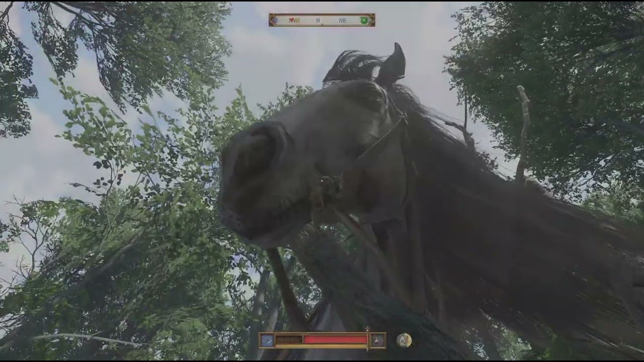 Kingdom Come: Deliverance II_20260305210807