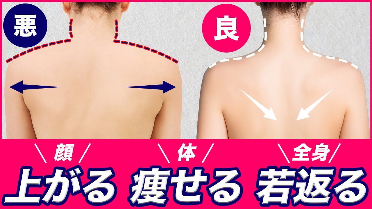 【一生老けない】若返り姿勢の作り方✨ガバガバに開いた肩甲骨を一瞬で引き寄せる‼️