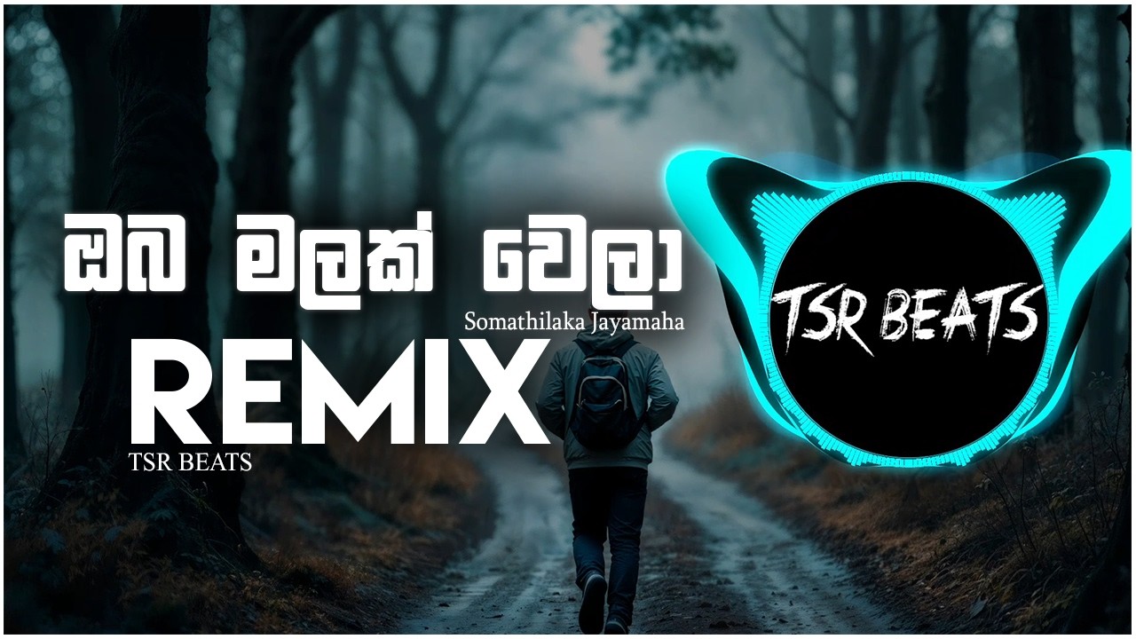 Oba malak wela (Tsr Beats Remix)