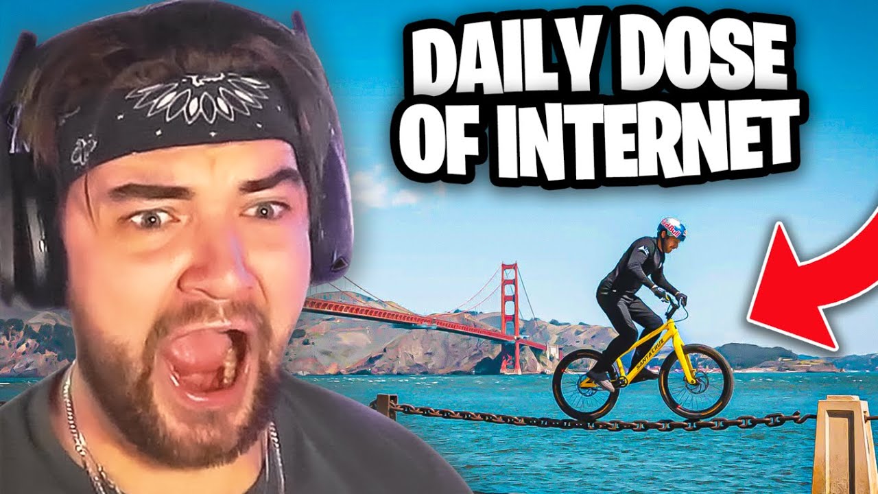 KingWoolz Reacts to DAILY DOSE OF INTERNET!! (Last of 2022)