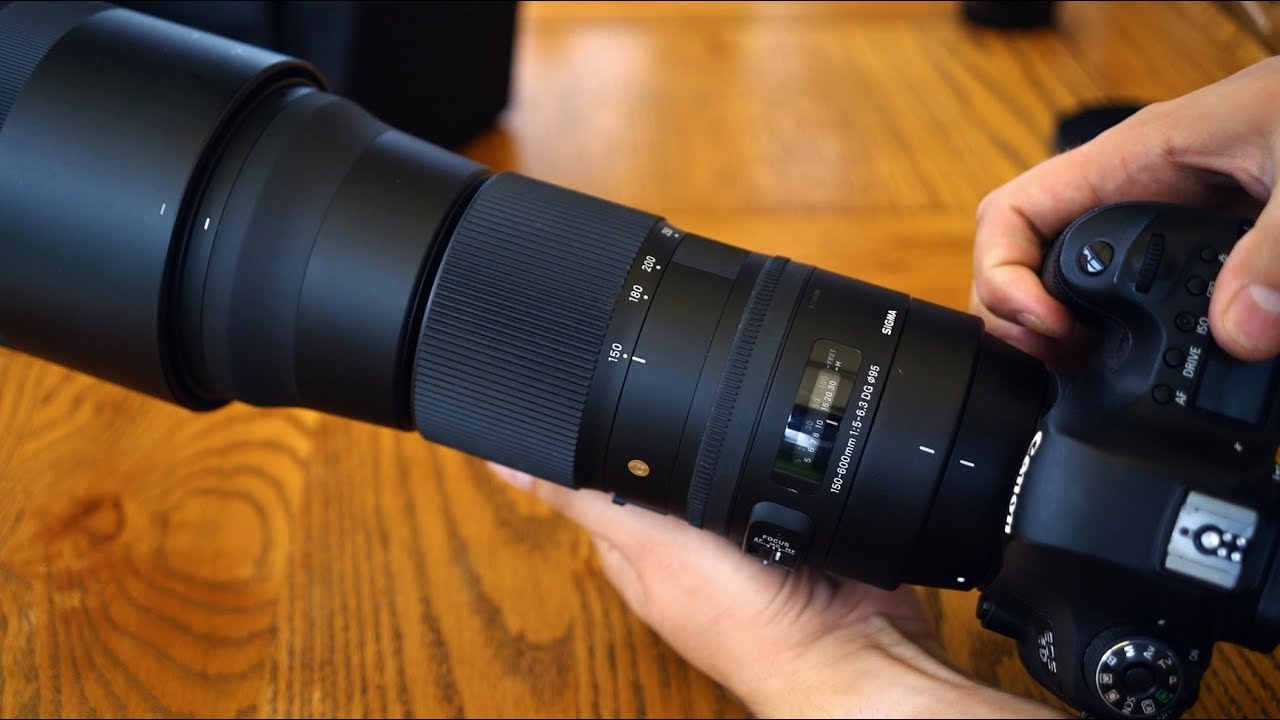 Обзор объектива Sigma 150-600mm f/5-6.3 DG OS HSM 'C' с примерами (полнокадровый и APS-C)