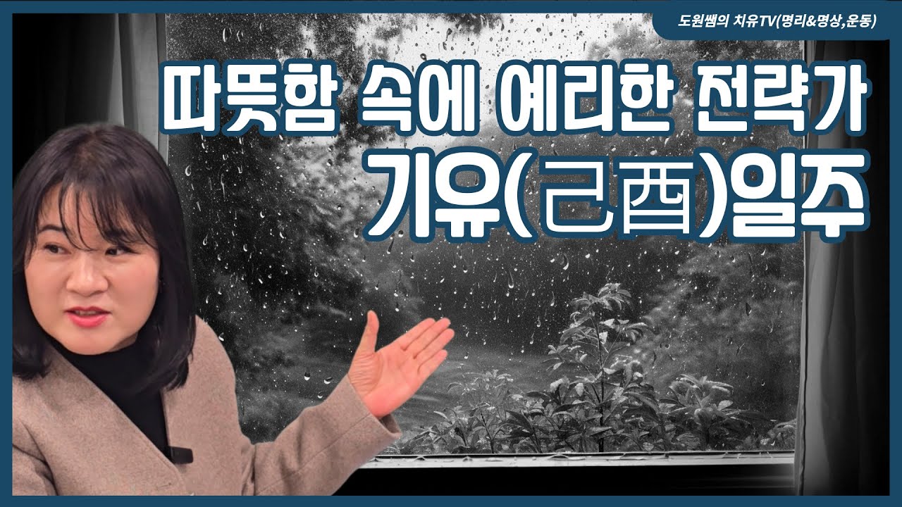 기유일주 | 따뜻함 속에 예리한 전략가 | 일주론