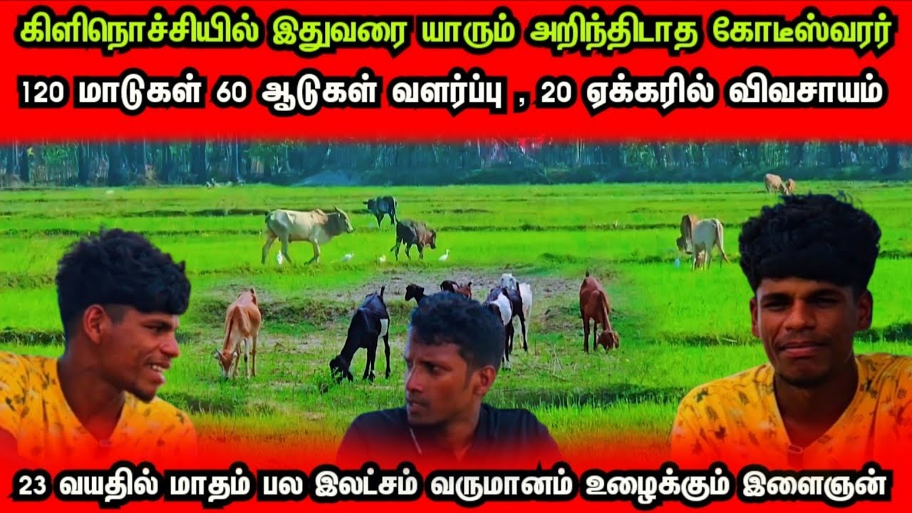மாதம் பல இலட்சம் உழைக்கும் 23 வயது இளைஞன்🐄கிளிநொச்சி மண்ணில் யாரும் அறியாத கோடீஸ்வரர்👍