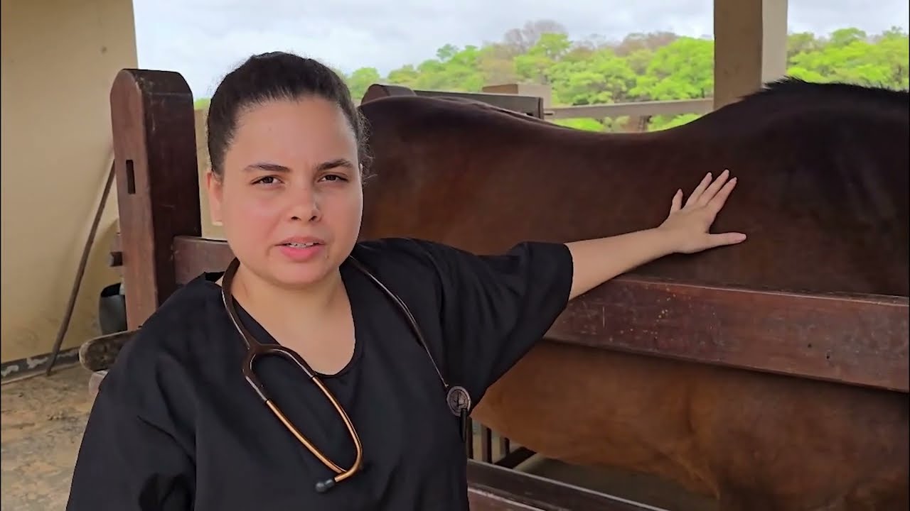 TRABALHO DE SEMIOLOGIA VETERINÁRIA - EXAME FÍSICO GERAL DE EQUINO.