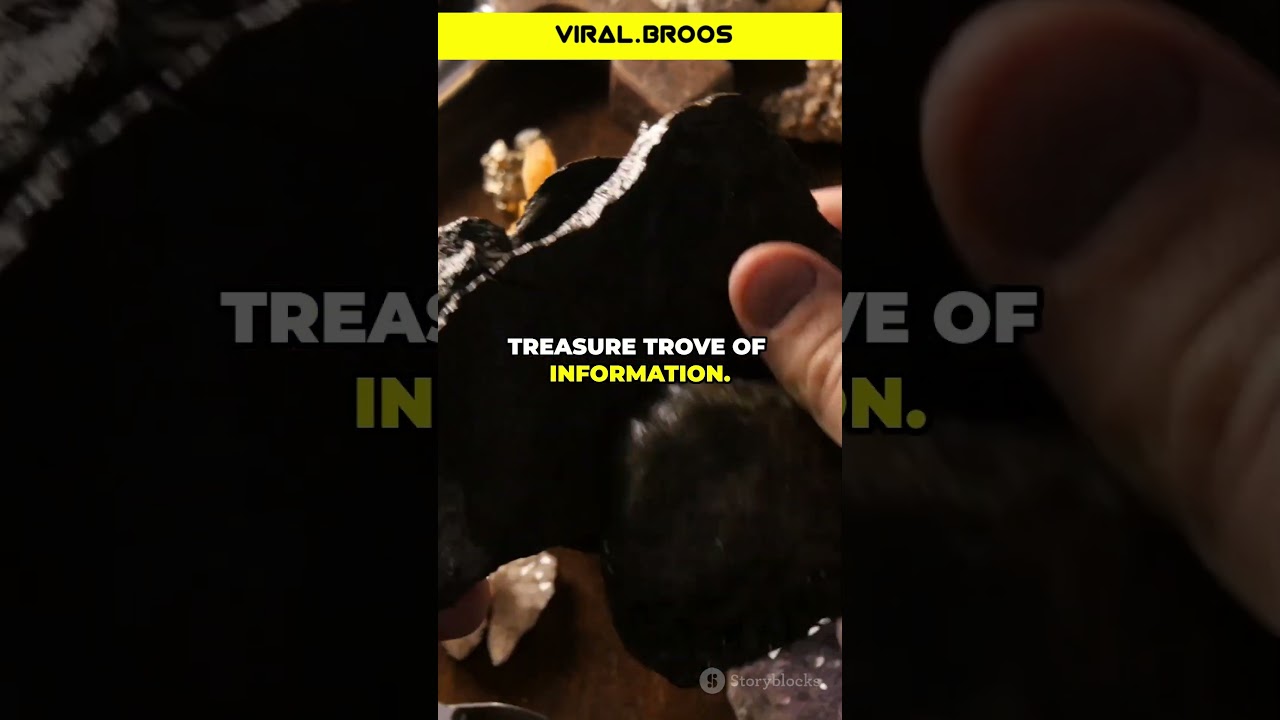 The Largest Dinosaur Poop Ever Found!