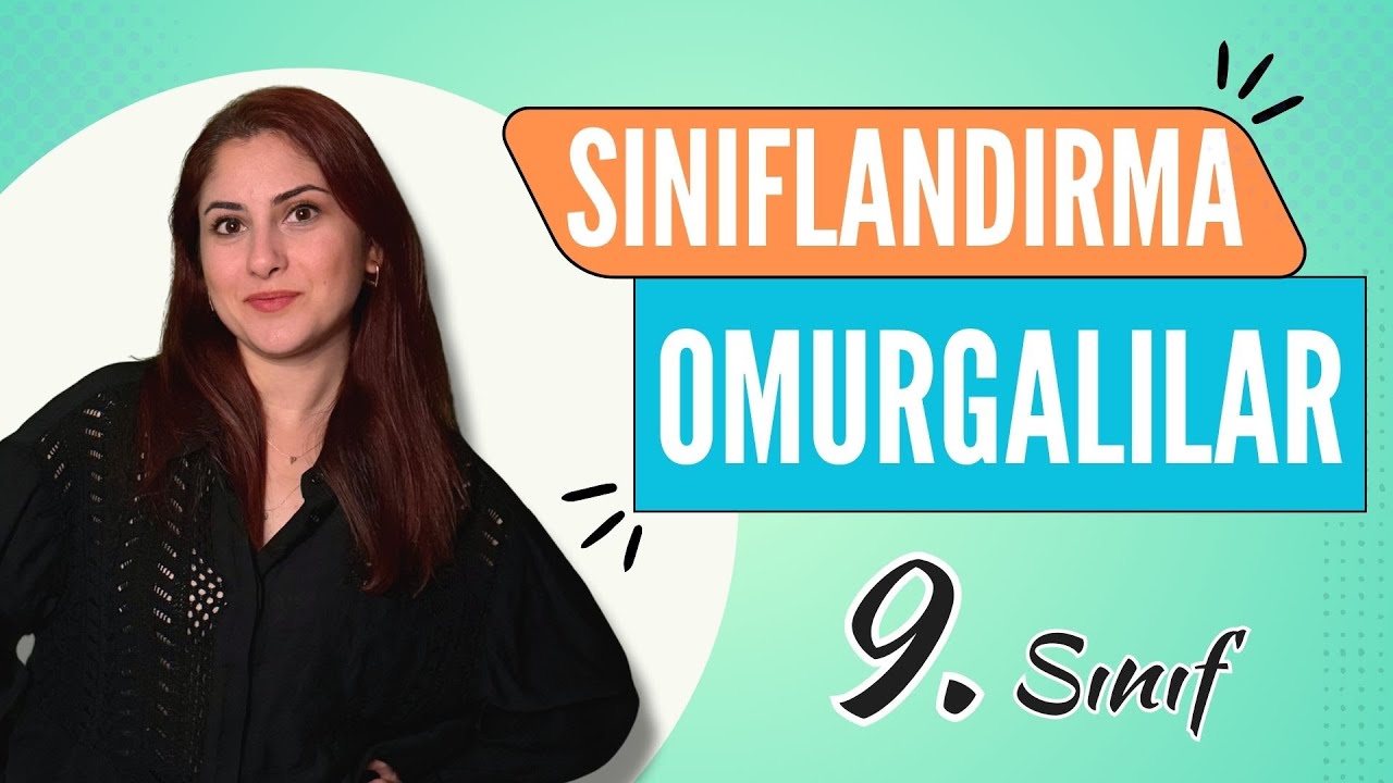 25) OMURGALI CANLILAR - HAYVANLAR ALEMİ 2 | 9. SINIF | TYT BİYOLOJİ DERS NOTLARI | 2024