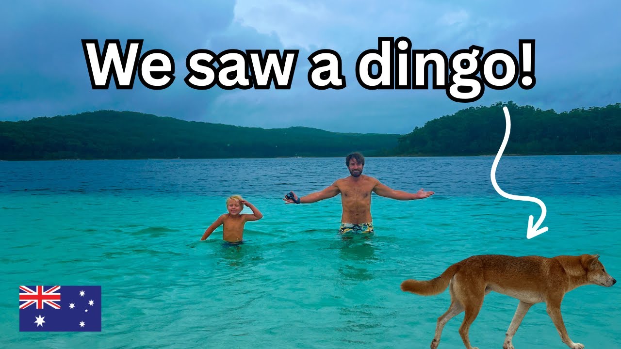Fraser Island (K'Gari) with Kids | Ultimate Family Day Tour: Dingoes, Lake McKenzie, & Eli Creek!
