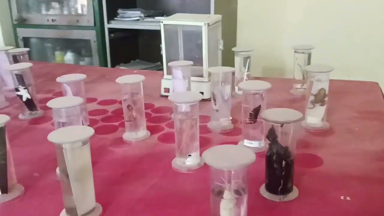 CITY PUBLIC SCHOOL - KATRA MUNGRA BADSHAHPUR JAUNPUR