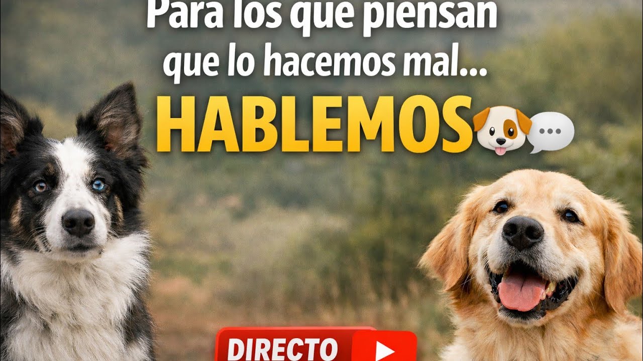 RAZAS, MESTIZOS, COMPRAS Y ADOPCIONES.  La realidad que debes saber.