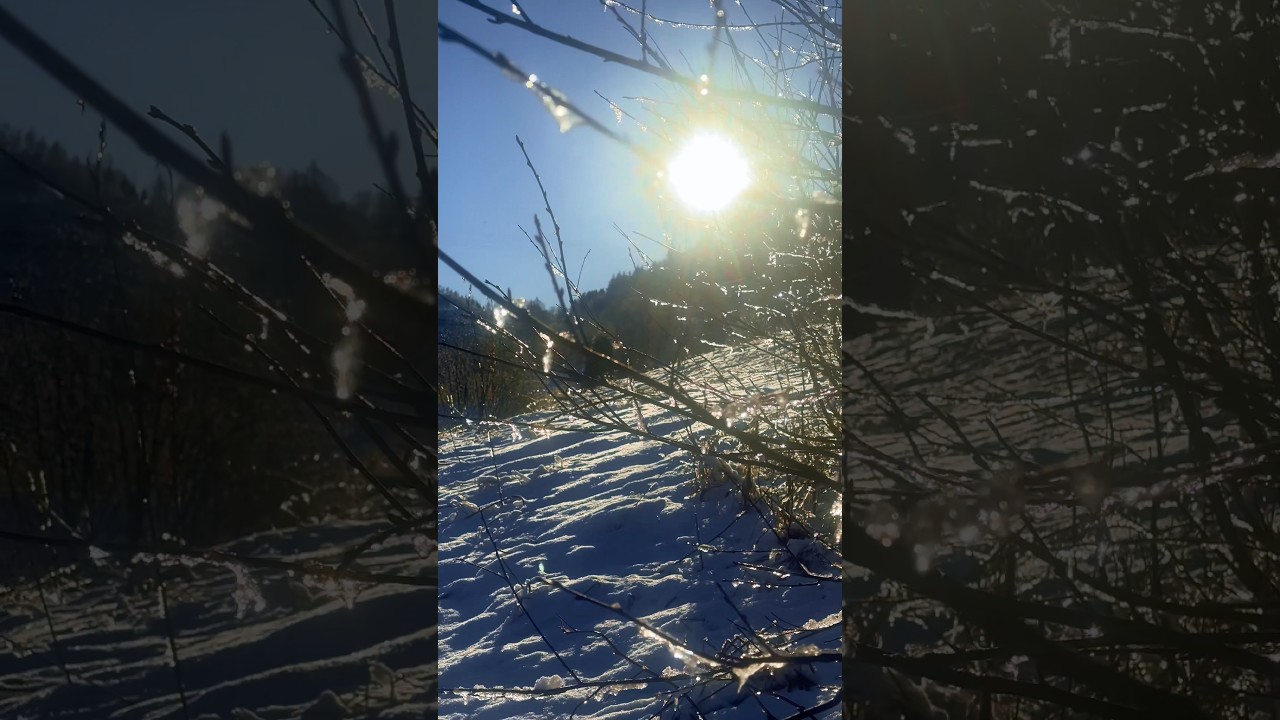 Winter Light in Norway ❄️🇳🇴