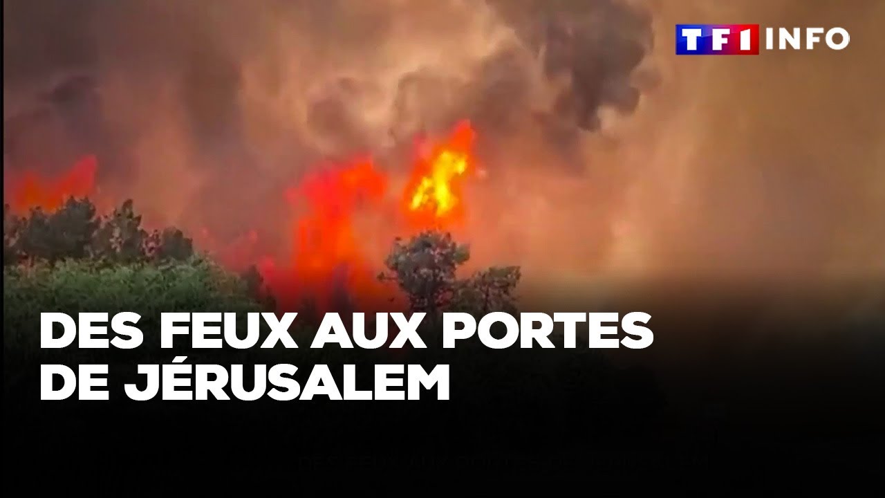 Des feux aux portes de Jérusalem｜TF1 INFO