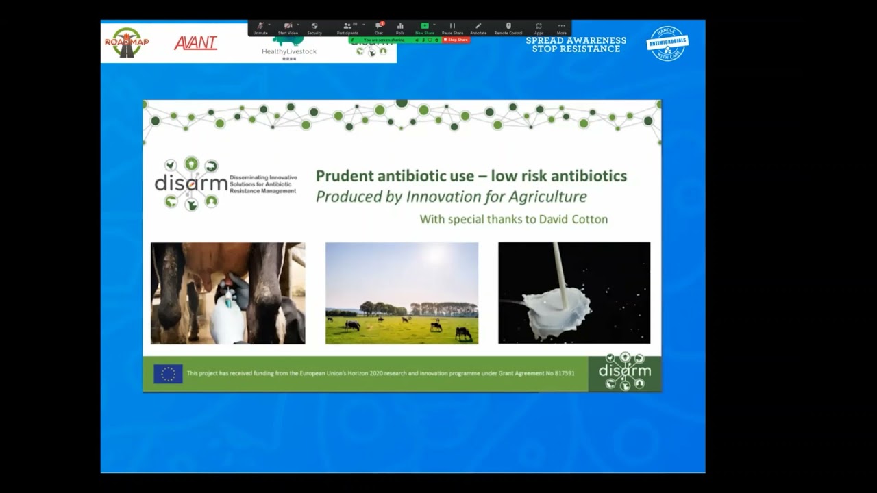 WEBINAR: Fighting AMR in animals: experiences and progress from the field