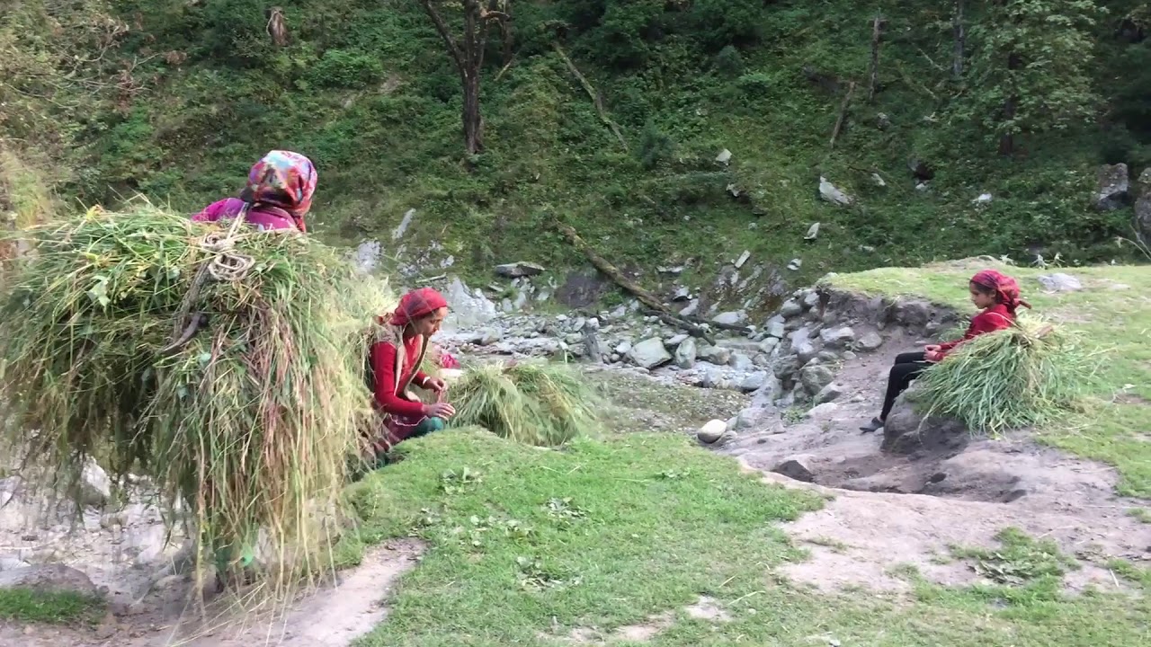 Harkidoon-Uttarkashi-realadventure-hiking