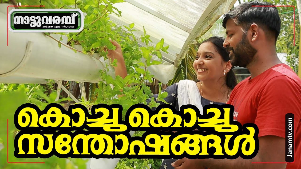 കൊച്ചുകൊച്ചു സന്തോഷങ്ങൾ | TECHIE FARMERS | FRESH LEAVES | HYDROPONICS | NATTUVARAMBU #215 | JANAM TV