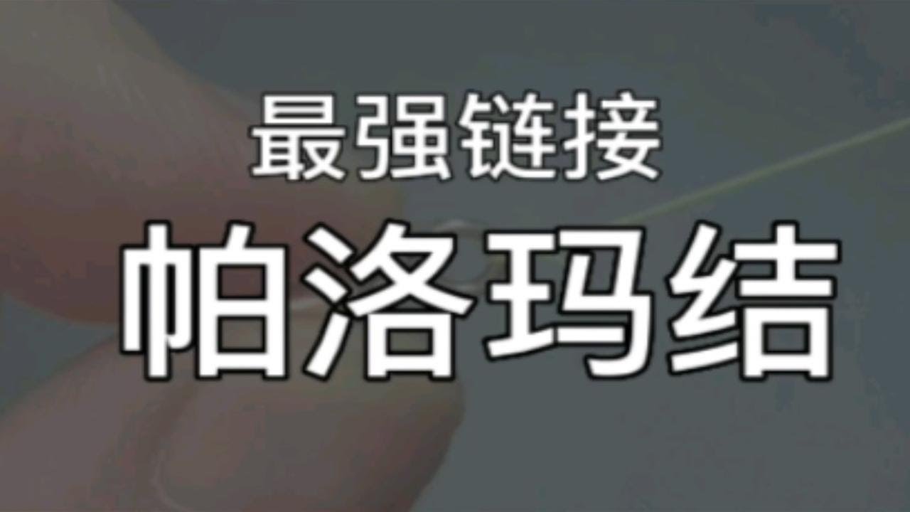 八字环最强链接，帕洛玛结