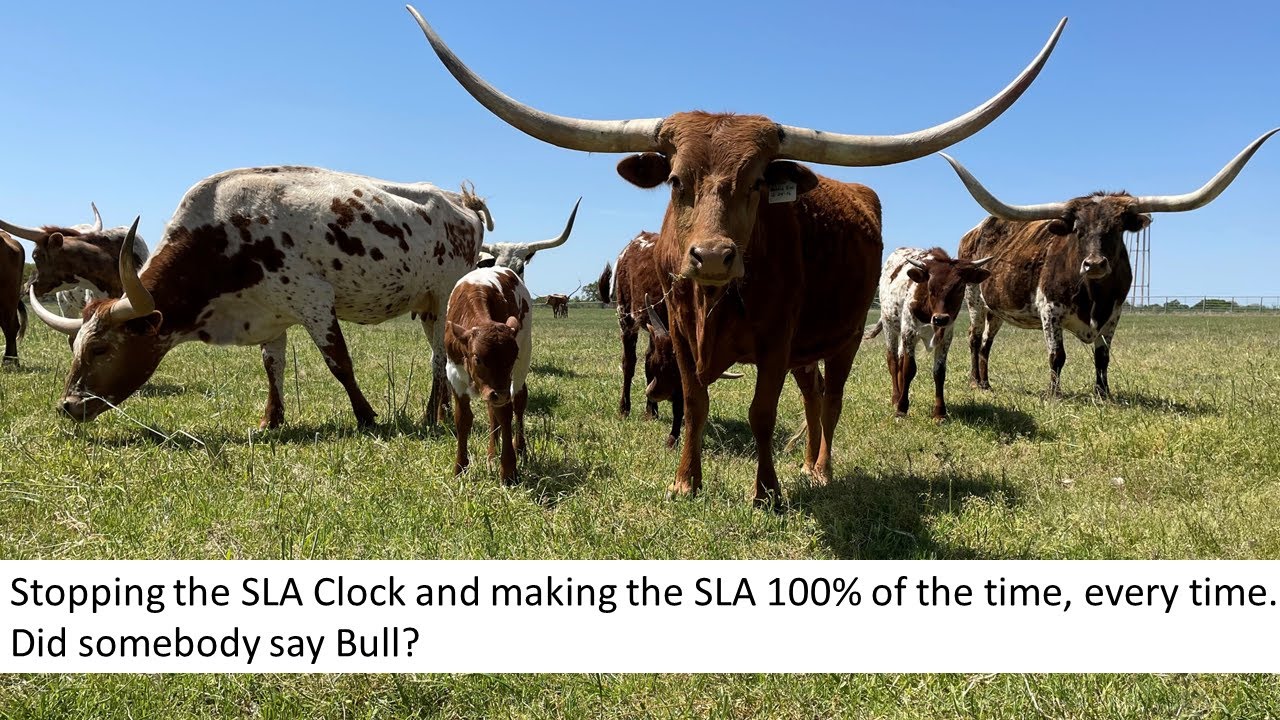 Service Level Management - Stopping the SLA Clock.  Did somebody say Bull?