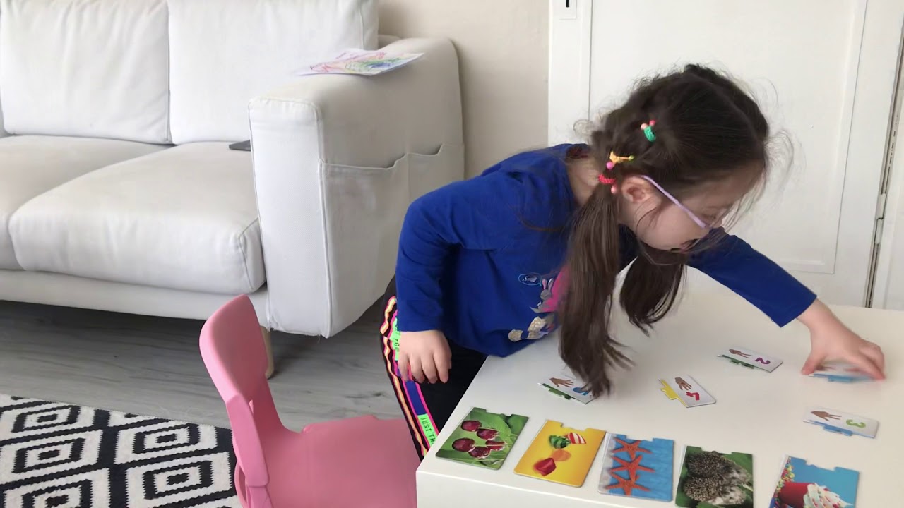 Sayılar etkinliği