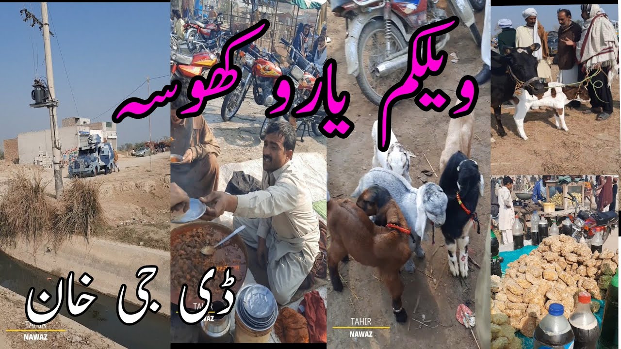 Yaroo khosa Dera Ghazi Khan Velog | Tahir Nawaz