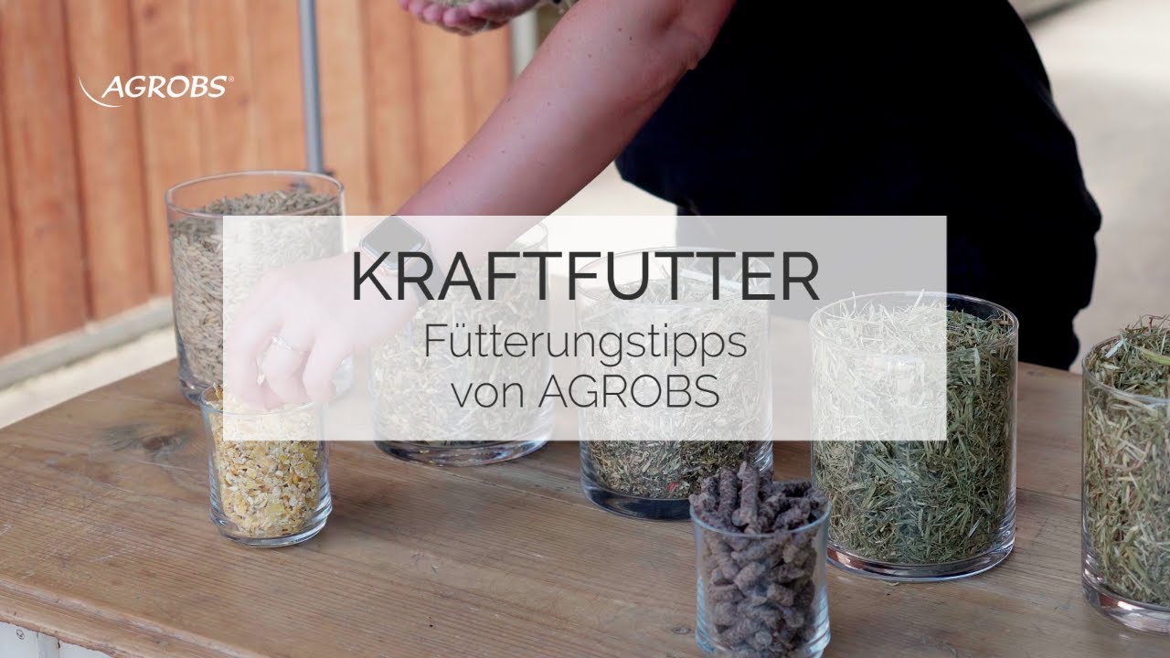 Kraftfutter für Pferde - Fütterungstipps von AGROBS