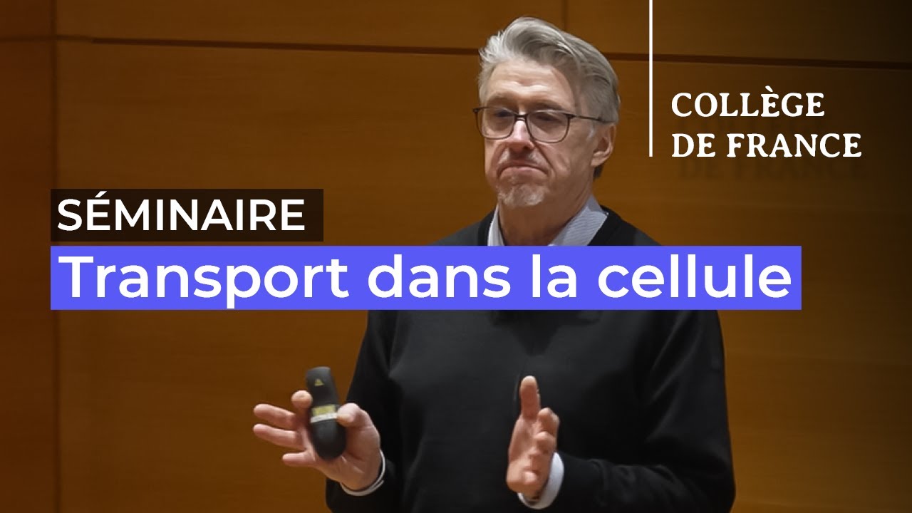 Transport dans la cellule (2) - Jean-François Joanny (2025-2026)