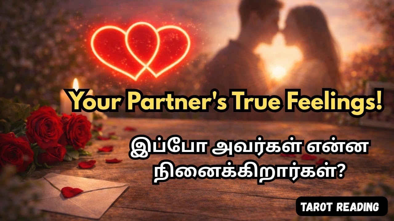 “உங்கள் நபரின் தற்போதைய உணர்வுகள் Pick a Card 💖 Tarot Reading” #tarot #tamiltarotreading #love
