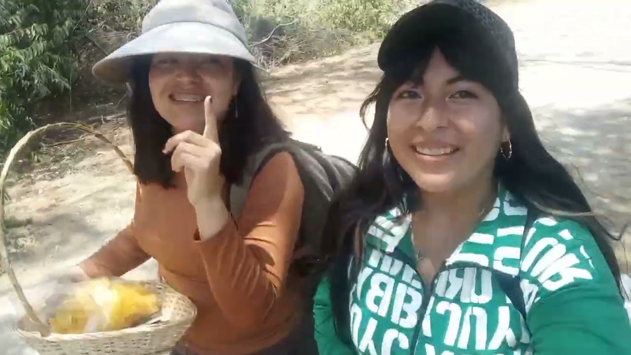 Caminata en el  bosque de pomac - Pítipo
