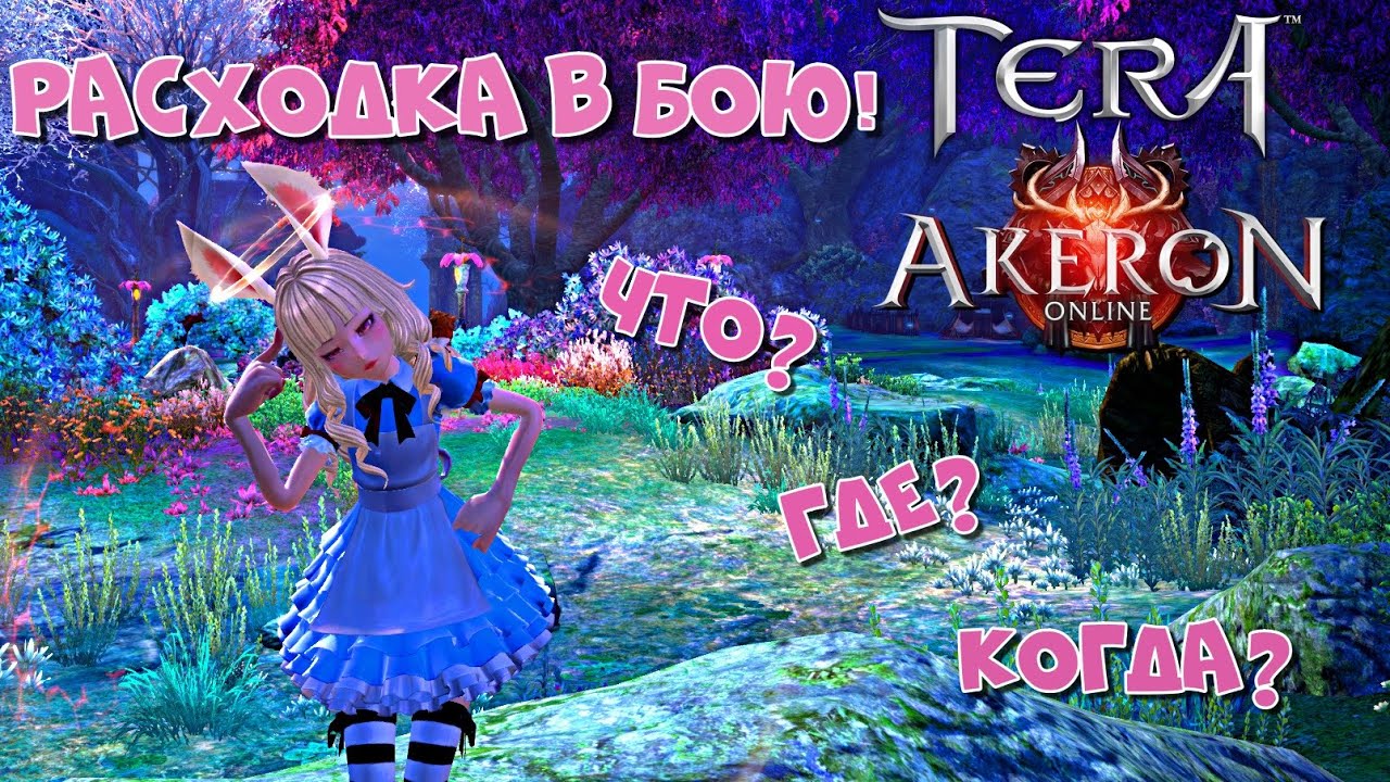 TERA Online/Akeron  - что нужно иметь с собой в бою? | гайд-обзор