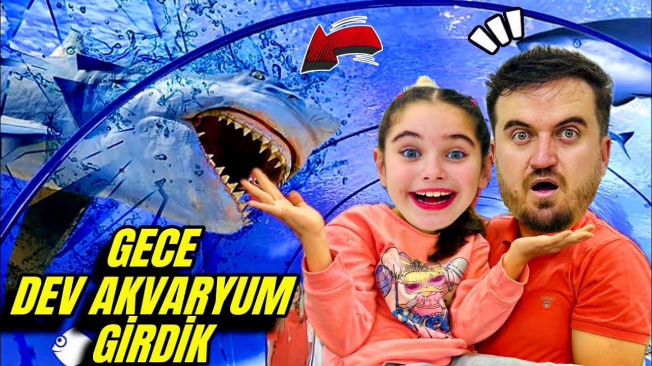 ELİF SİNEM GECE GECE DEV AKVARYUM TÜNELİNE GİRDİK !! AKVARYUM TURU !!