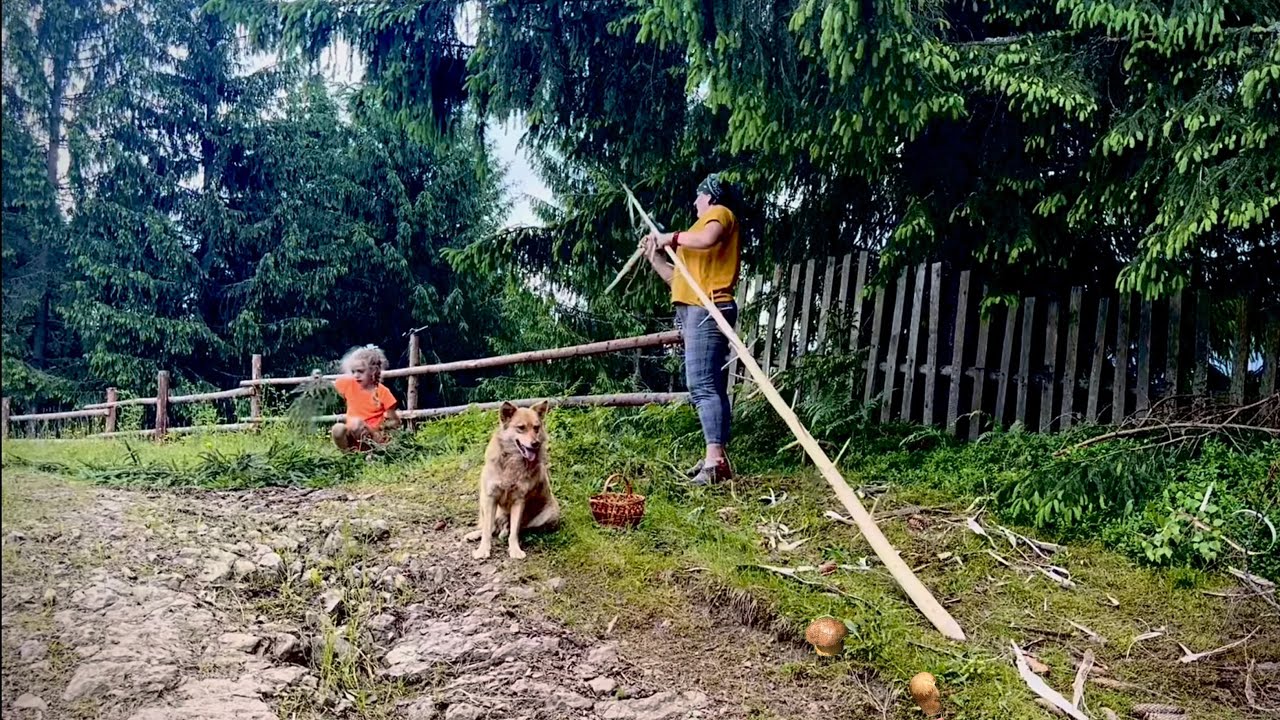 3 дні Життя в гірському селі: грибний рай під час скошування сіна