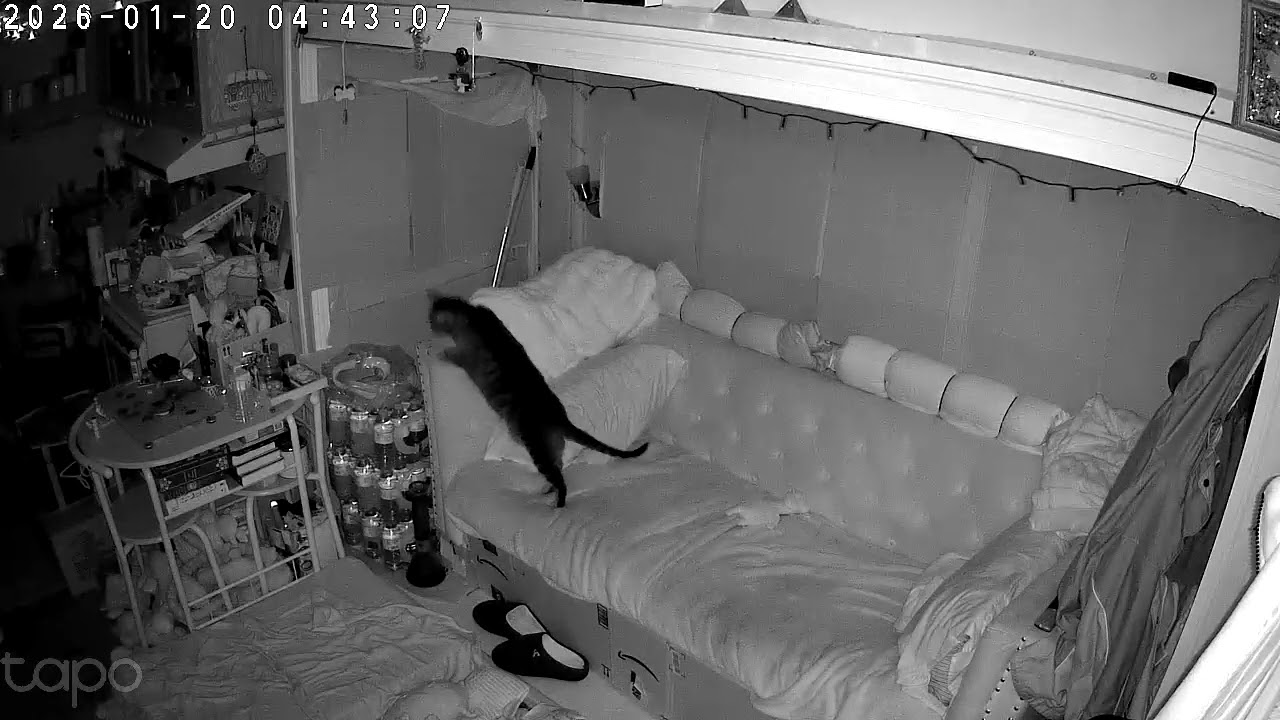 Things that go bump in the night part 3