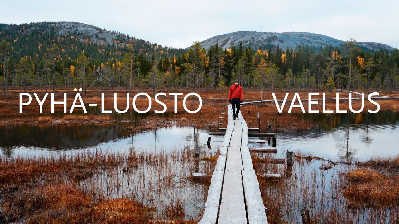Merkkipäivän juhlistus - 3 päivän vaellus Pyhä-Luoston kansallispuistossa