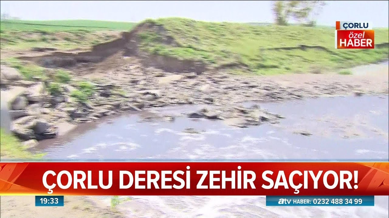 Çorlu deresi zehir saçıyor! - Atv Haber 24 Nisan 2019