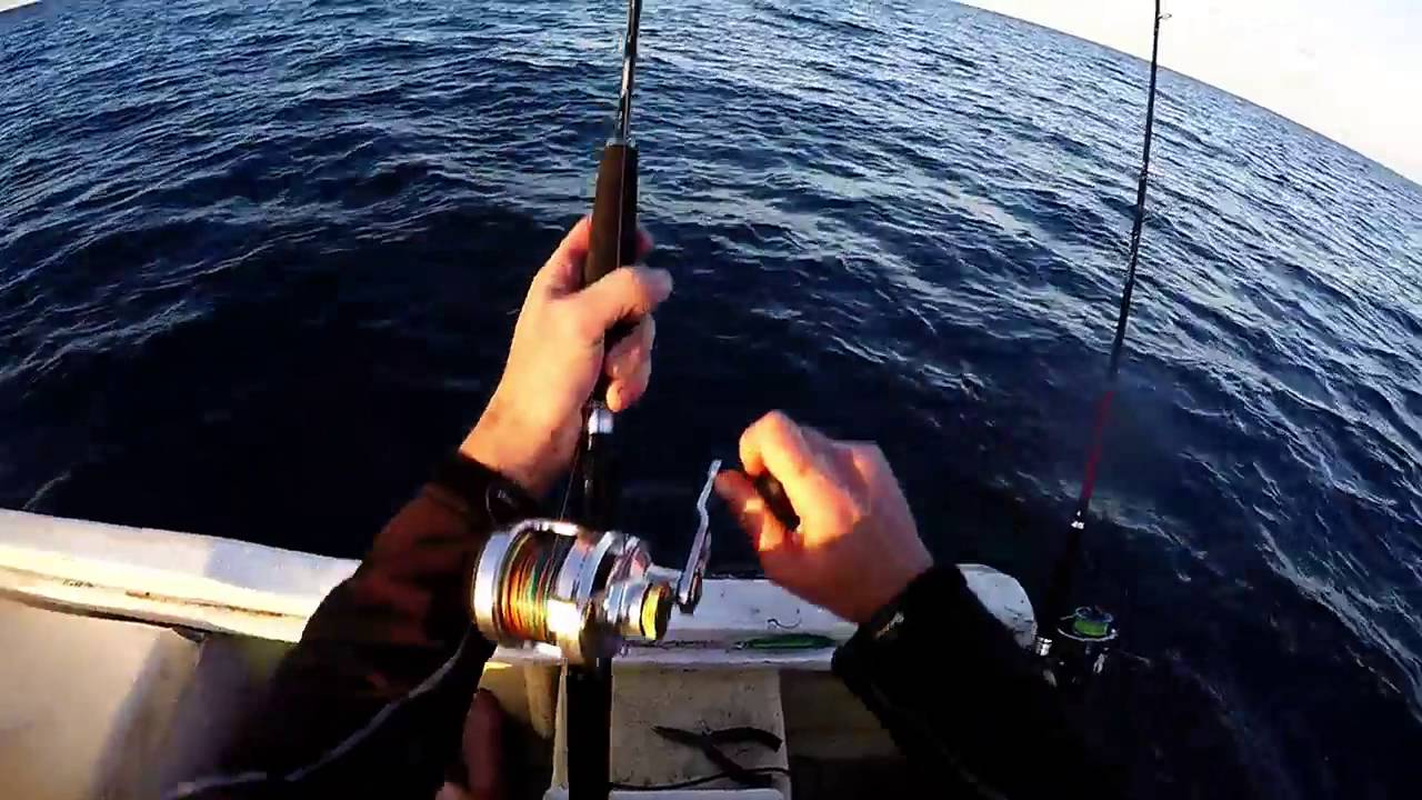 Shimano Anarchy overhead Rod Fin nor marquesa MA12 Reel Swains Reef