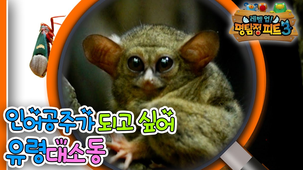 [EBS놀이터] 명탐정 피트3🔎｜인어공주가 되고 싶어｜유령대소동｜숲 속 수사대｜동물｜식물｜곤충｜애니메이션