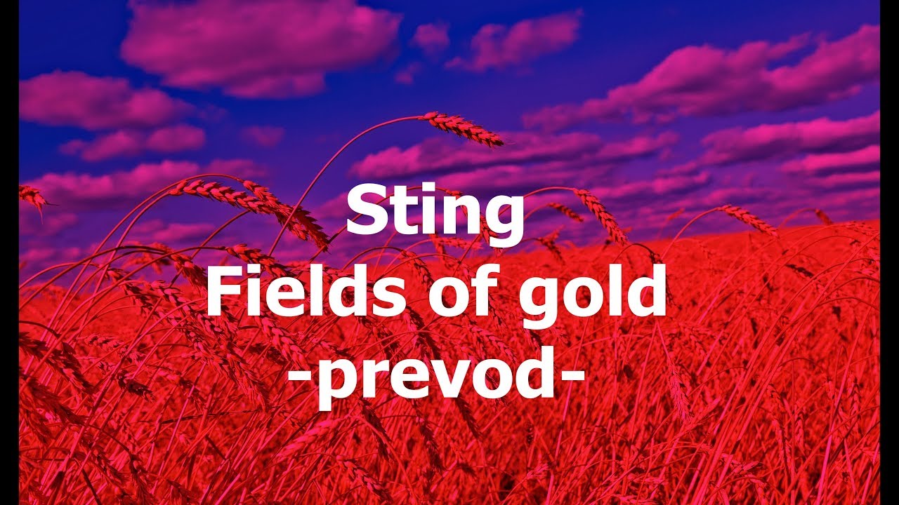Sting - Fields of gold (Prevod)