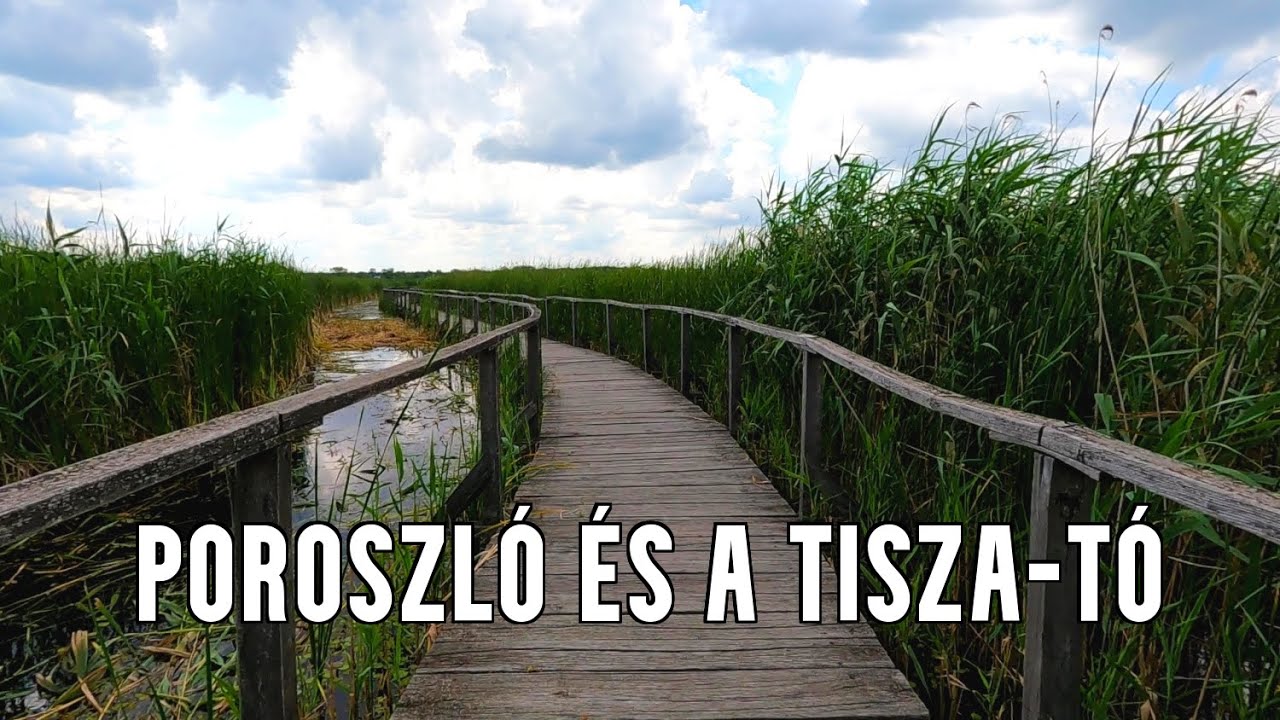 Kirándulás Poroszlón - a Tisza-Tavi Ökocentrum és a Vízi sétány