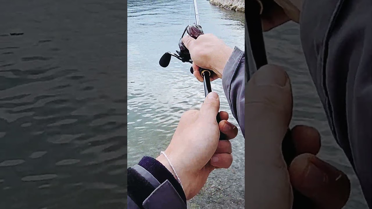 Lago di corbara Black Bass‼️ #blackbassfishing #bassfishinglife  #fishing #blackbassfishing