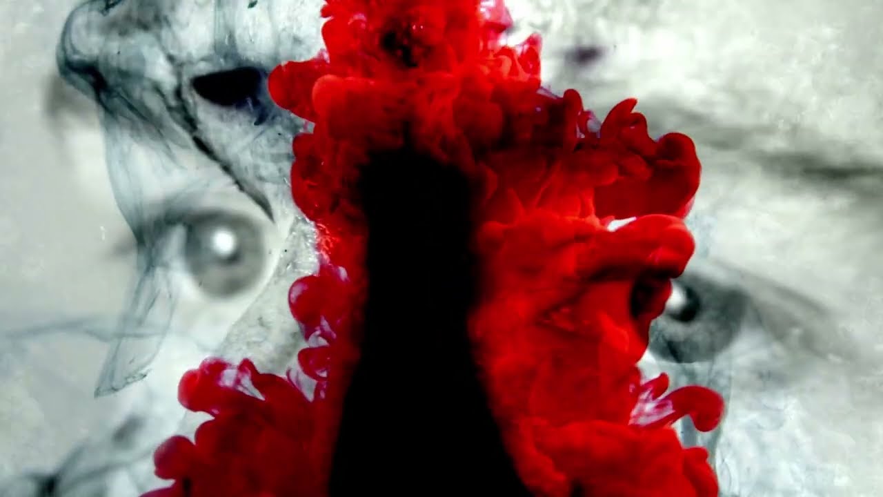 Amnistia - Song Of Blood