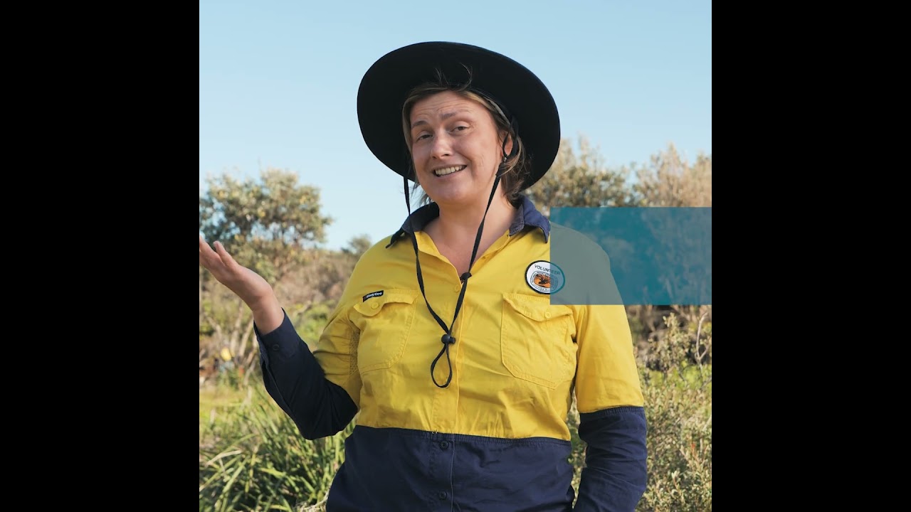 Become a volunteer with NSW National Parks & Wildlife Service | #nswparks