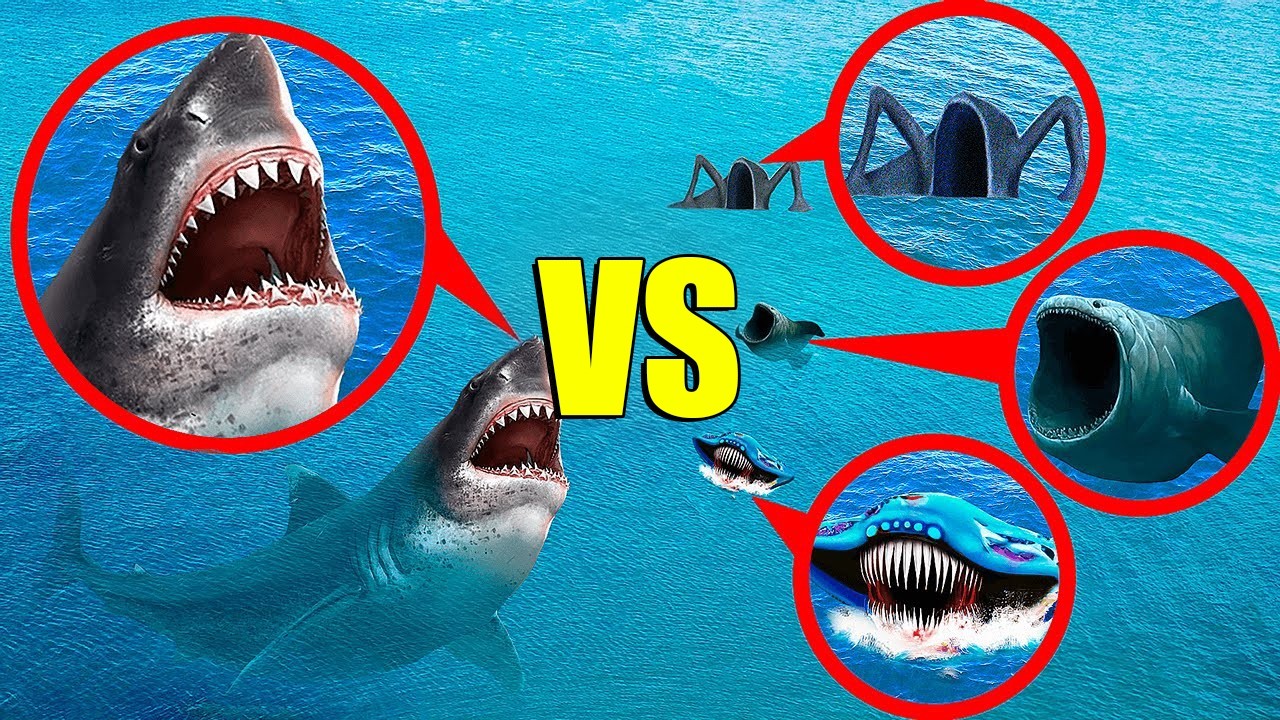 мой дрон снял МЕГАЛАДОН vs ПОЖИРАТЕЛЯ МОРЕЙ, ЭЛЬ-ГРАН-МАЙЮ И БЛУПА в Реальной Жизни!