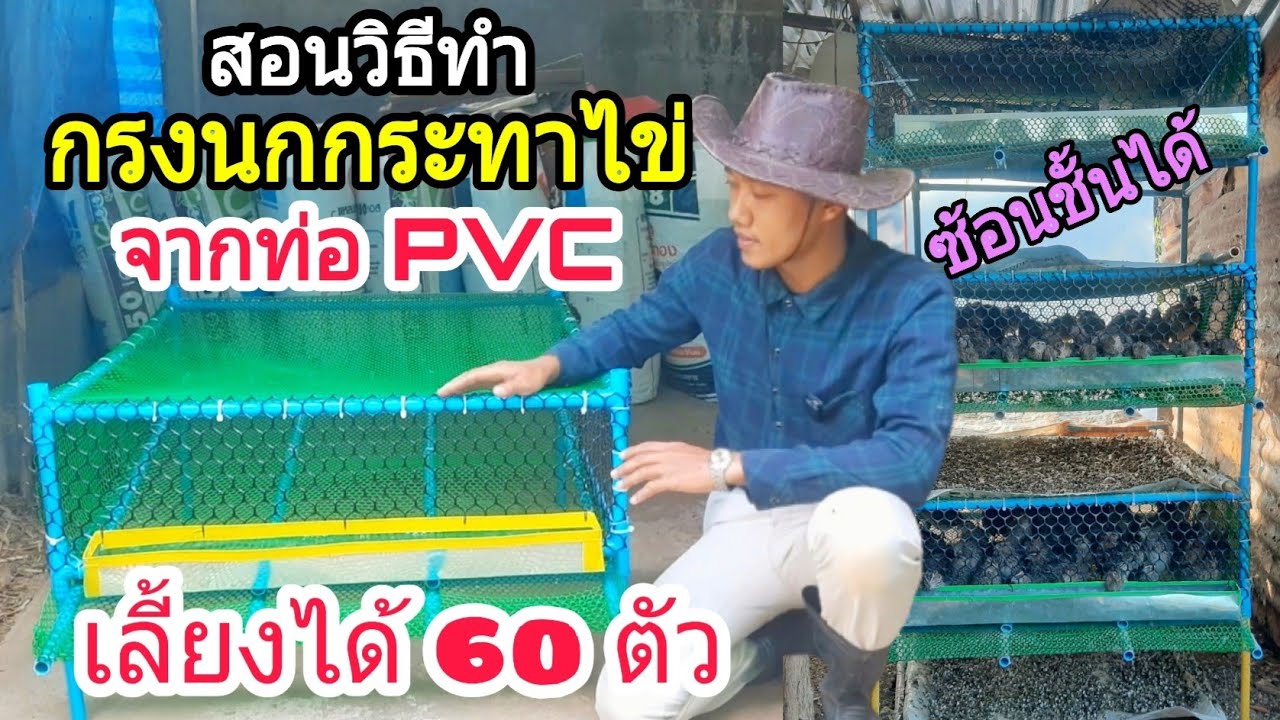 กรงนกกระทาไข่จากท่อ PVC (เลี้ยงได้60ตัว) : SMILE FARM