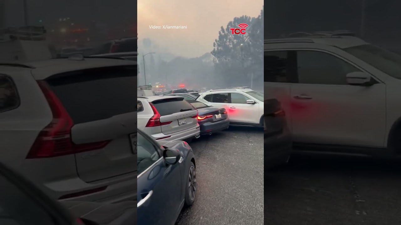 Pacific Palisades Wildfire: California's Worst Disaste