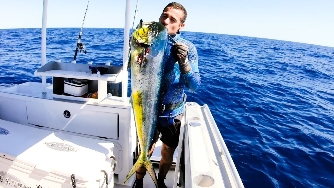WHAT SPEARFISHING GEAR WE USE mahi catch clean and cook - Ep 77
