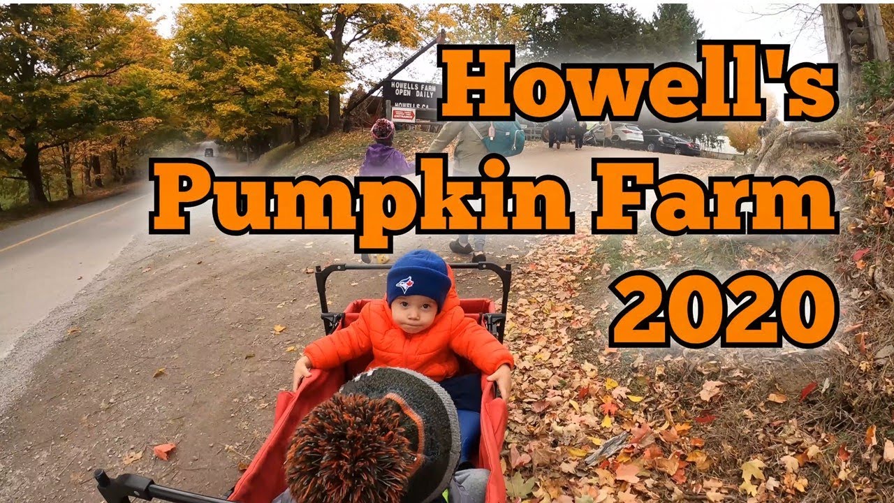 Howell's Pumpkin Farm 2020