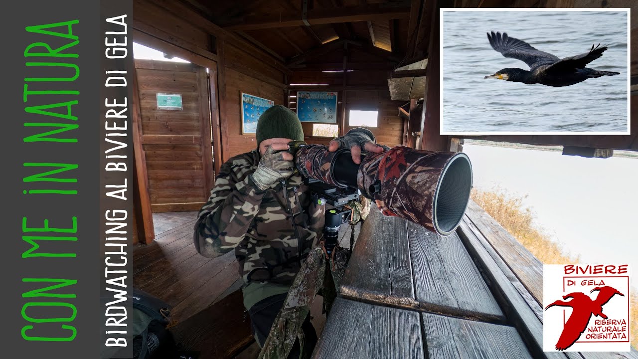 Birdwatching alla Riserva Biviere di Gela