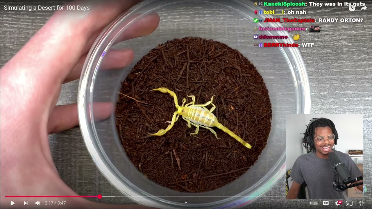 ImDOtnai Reacts To Simulating An Ant Colony For 1000 Days
