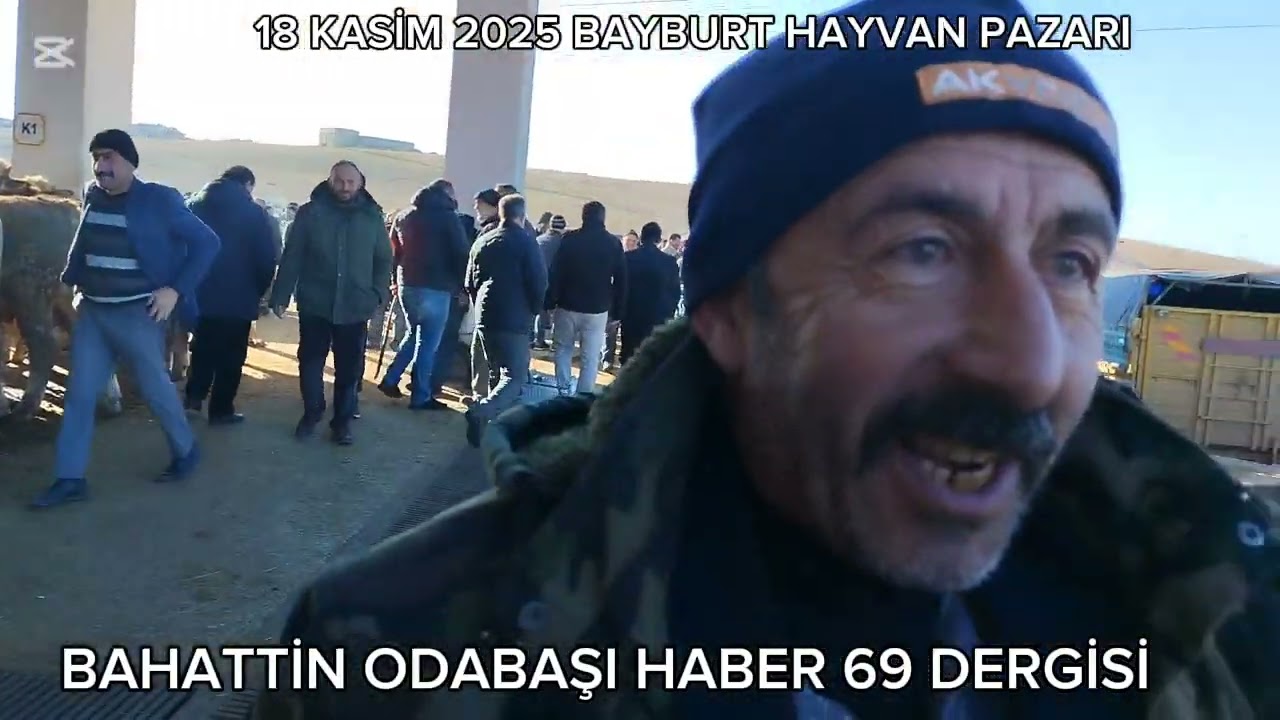 18 KASIM 2025 BAYBURT HAYVAN PAZARI