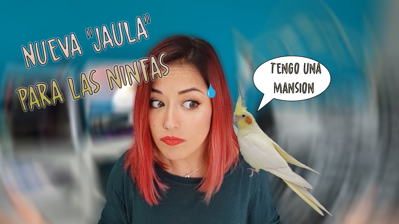 NUEVA 